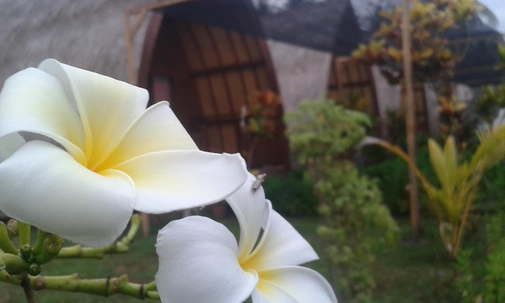Kelapa Gading Bungalows Gili Air Pokój zdjęcie